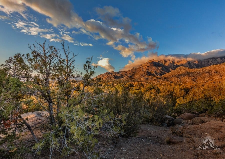 Foto Friday - Sunset over the Sandia Mountains