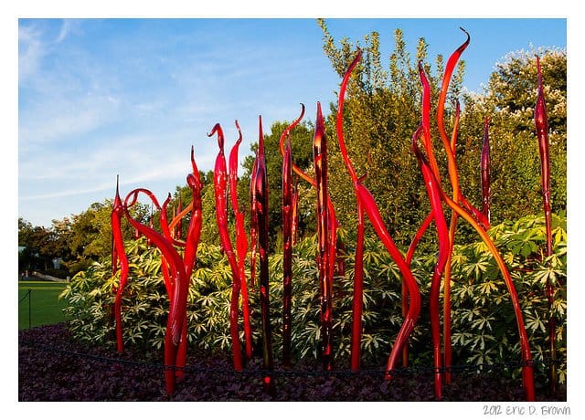 Foto Friday - Chihuly Glass at the Dallas Aboretum