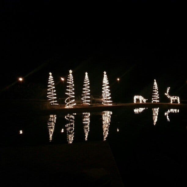 Foto Friday - Christmas Lights + Reflection