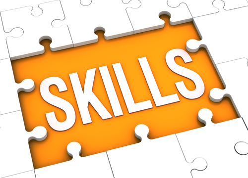 Important Skills for the Data Scientist
