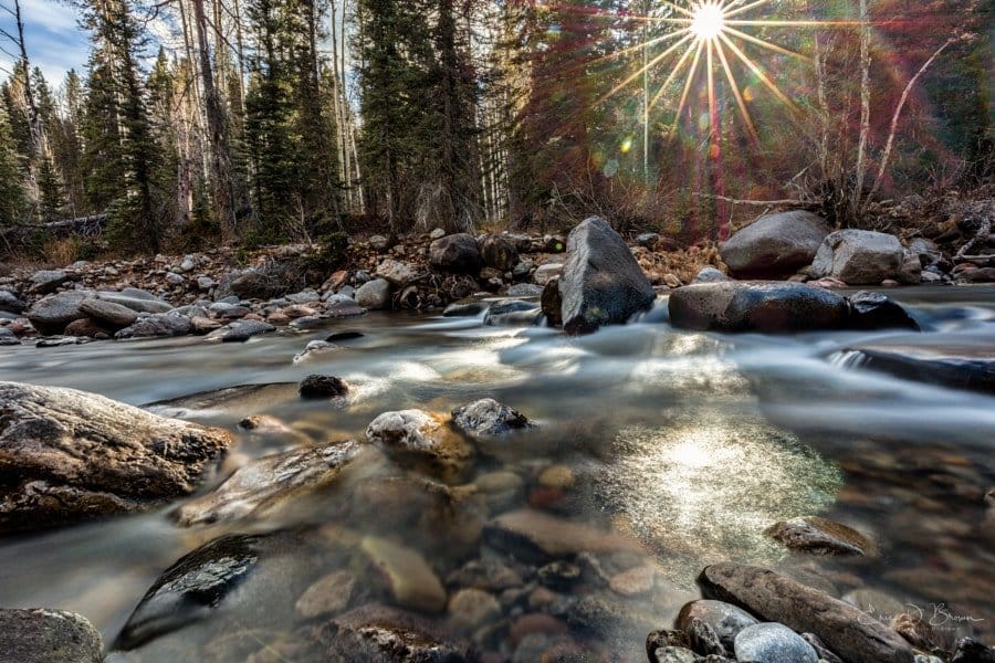 Foto Friday - Shining Light, Cascade Creek