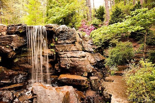 Foto Friday - Waterfall at Garvan Gardens