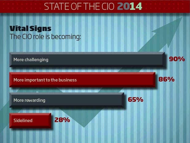 The Sidelined CIO