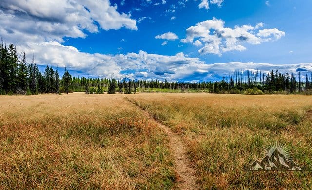 A meadow off of Camas Road in Glacier National Park.