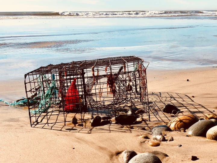a photo of a lobster trap by the see