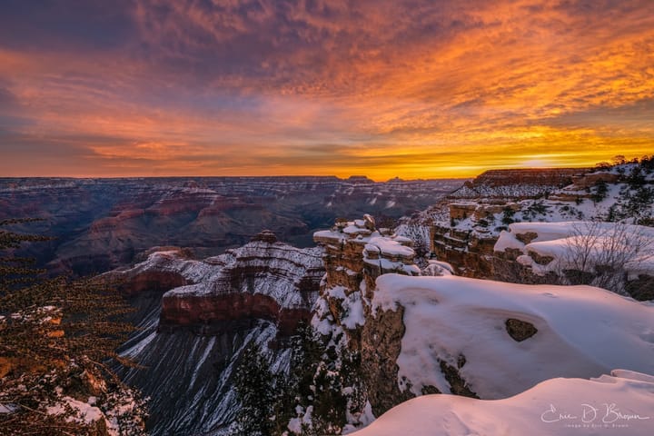 Foto Friday - The Grand Canyon