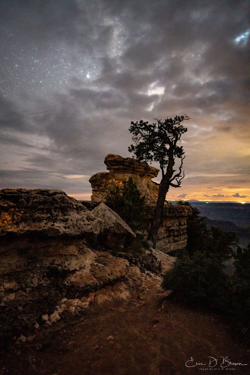 A lone twisted pine on a rocky Grand Canyon rim at dusk, stars and broken cloud overhead, the last orange of sunset along the horizon