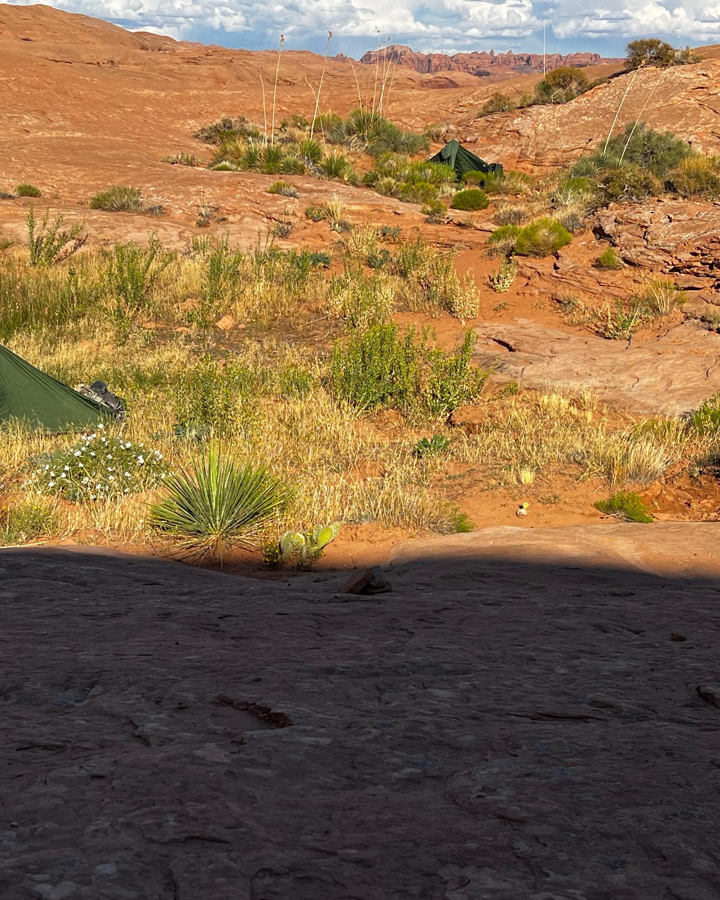 Two green tents in a slickrock basin near Reflection Canyon