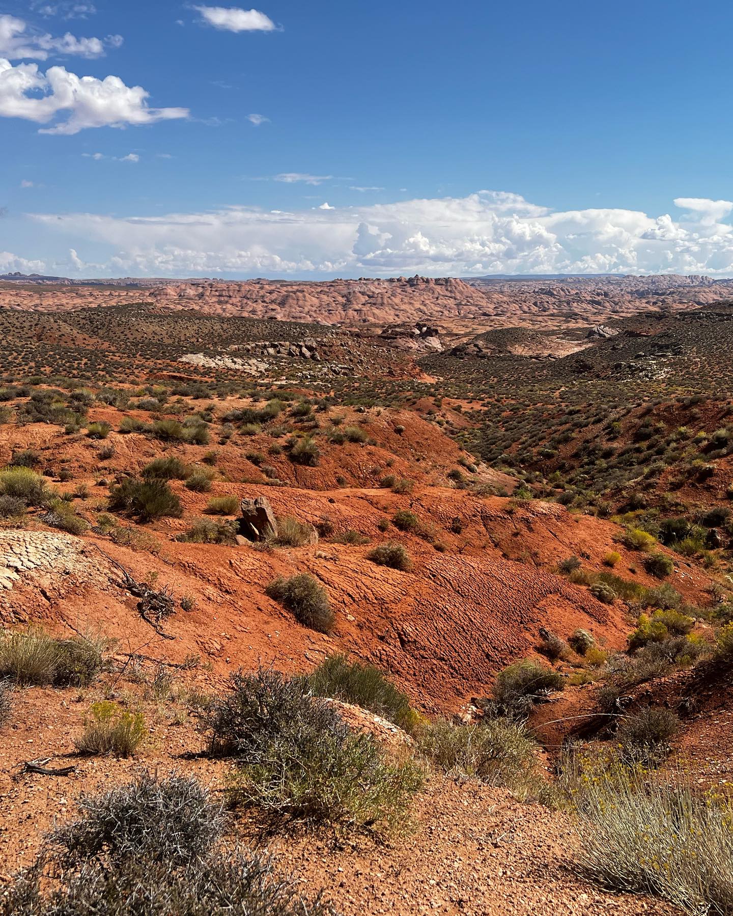 Elevated trail across red hills on the Reflection Canyon approach